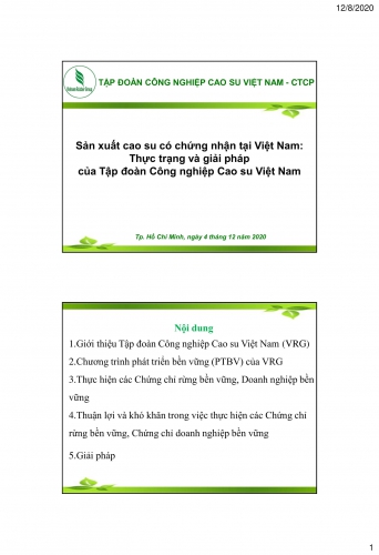 Sản xuất cao su có chứng nhận tại VN, thực trạng và giải pháp của Tập đoàn CN CS Việt Nam