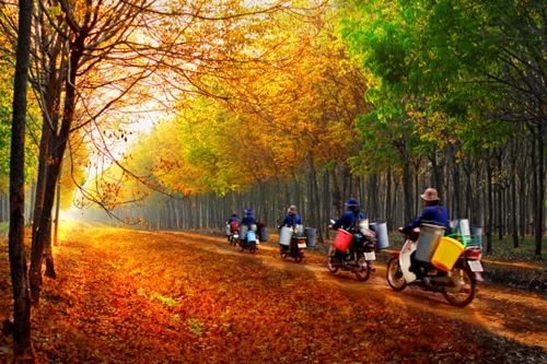 Thưởng Tết: Cần hài hòa lợi ích