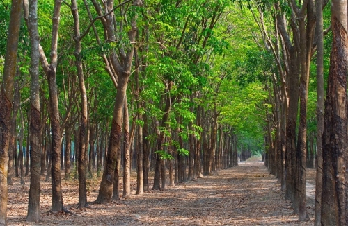 Tăng lương tối thiểu vùng: Cần nhưng phải tính kỹ