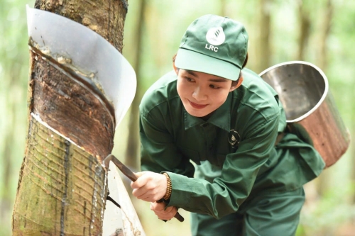 Sôi nổi thi đua nước rút vượt khó hoàn thành kế hoạch