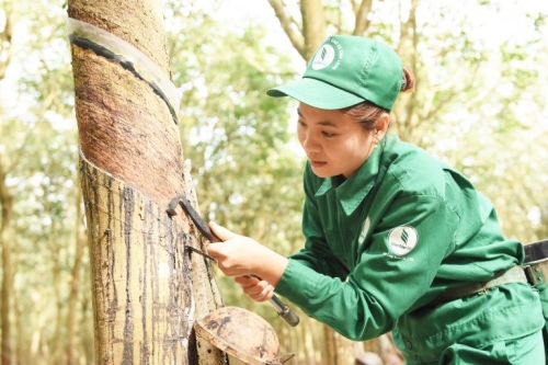 Sáng kiến giúp doanh nghiệp vượt khó