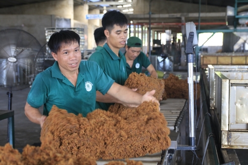 Thực hiện quyết liệt, hiệu quả các nhiệm vụ