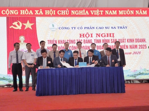 Cao su Sa Thầy quyết tâm hoàn thành tốt nhiệm vụ năm 2025