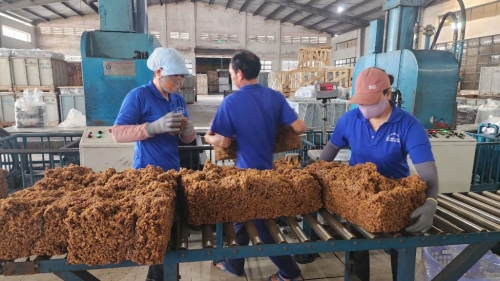 Thi đua – Nguồn lực nội sinh của ngành cao su Việt Nam