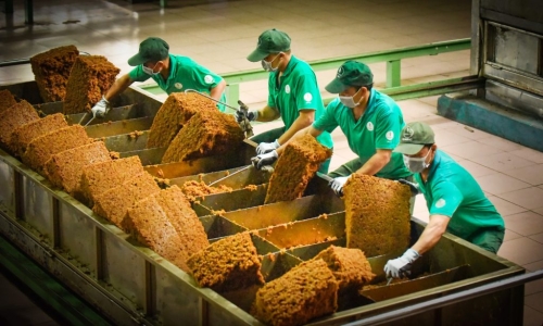 Khí thế nước rút – quyết tâm về đích vượt mức